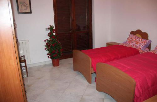 aranceto dell'Etna - Foto 31