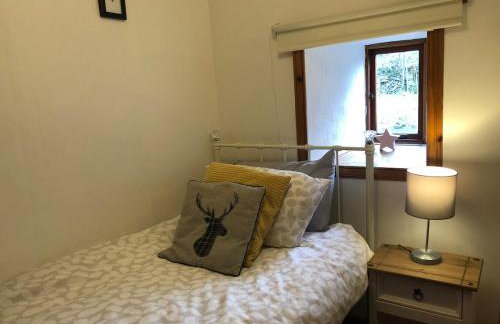 Corlae Cottage, mountain and forest views - Foto 10