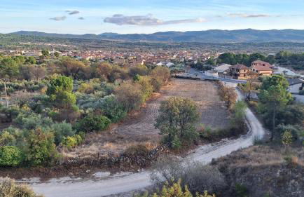 El Zaguan - Photo 34