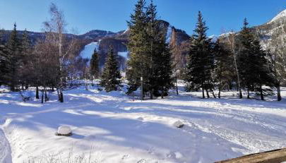 Sunny balcony steps from the slopes - Foto 5