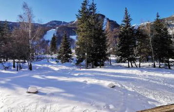 Sunny balcony steps from the slopes - Foto 5
