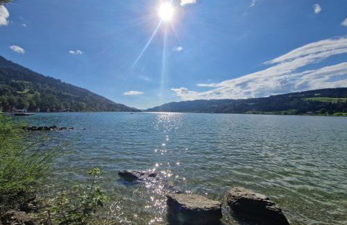 Konstanzer Bergblick mit Wintergarten - Foto 37