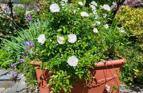 Casa Intignano - appartamento con terrazzo vista lago - Foto 21