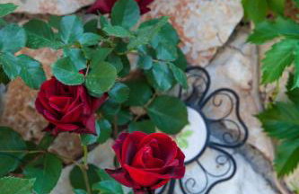 Villa Oliva Bribir - Foto 20