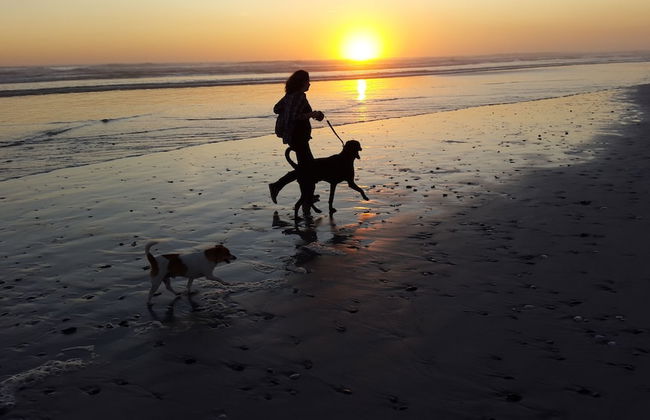 Melkbos Seagulls Lapa - Foto 15