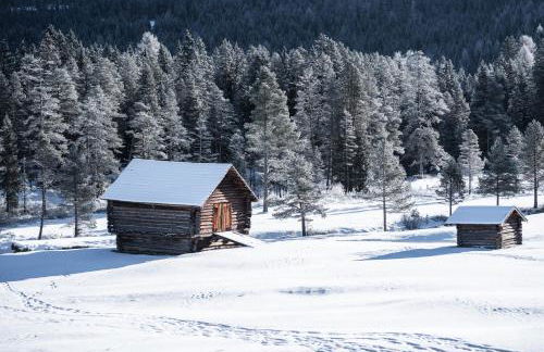 Les Pizades - Foto 21