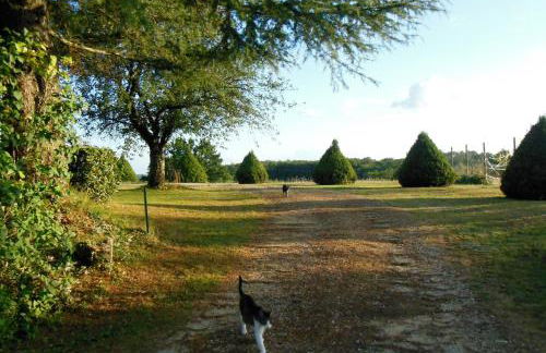 Les Hauts de Sentelines cottage - Foto 7