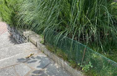 Family House - Foto 7