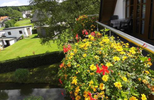 Cosy apartment with private garden in Brachthausen in the Sauerland - Foto 40