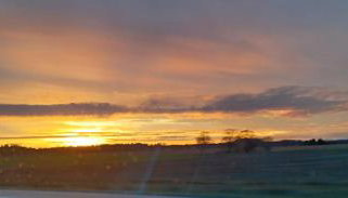 Ferienhaus Alter Deich - Foto 3