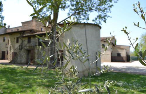 Agriturismo Nestore - Foto 63