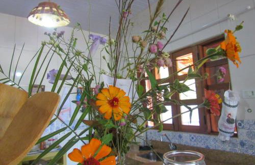 Chácara Morro da Pedra - Foto 51