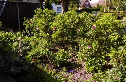 Refugium im Nordseewind - Foto 12