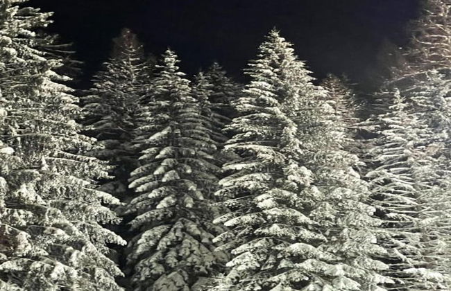 Wohnung in Brilon mit Kleinem Garten - Foto 23