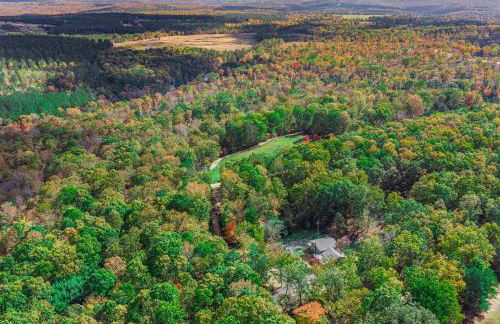 Big Yard Family Getaway - Pets OK - Grill and Hike - Foto 18