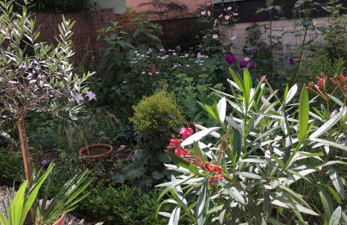 Ferienwohnungen Apartements Buddestrasse Daberstedt - Foto 27