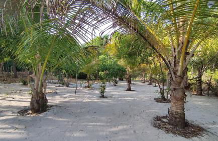 Sitio Santo Antonio - Photo 18