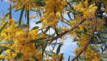 Casa THE NEST - Il Nido sul Mare - Foto 3