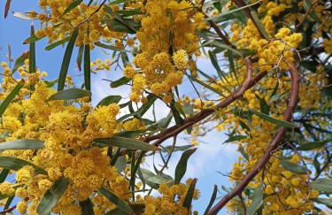 Casa THE NEST - Il Nido sul Mare - Photo 3