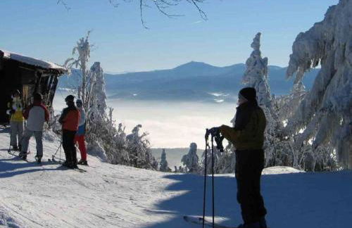 Holiday Home Hohenbogenwinkel by Interhome - Foto 13