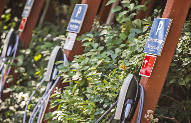 1 bedroom Apartment in Bad Griesbach i. Rottal with swimming pool and garden - Photo 19