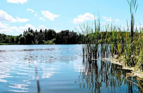 Ferienwohnung mit Terrasse in Kropelin - Foto 25