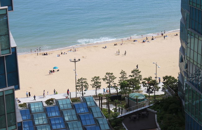 Plea De Blanc - Foto 39