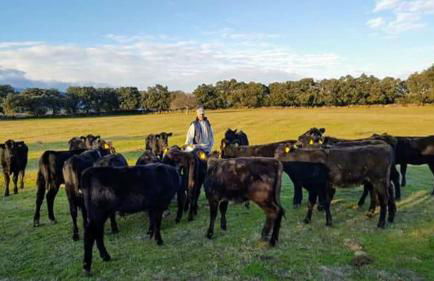 Tu Casa de Pueblo - Photo 24