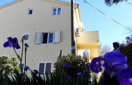 Apartments Kampor Damira - Foto 51