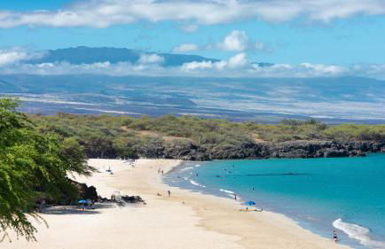 ❤PiH❤ Mauna Kea Palms Ocean Views Stunning Mauna Kea Resort Best Beaches - Photo 32