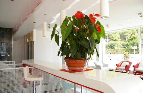 Apartamentos Centremar - Foto 142