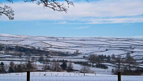 Farfield - Foto 2, Garden view
