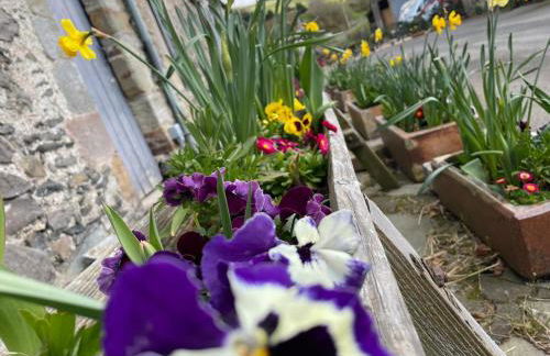 Winkston Holiday Accommodation Peebles - Foto 42