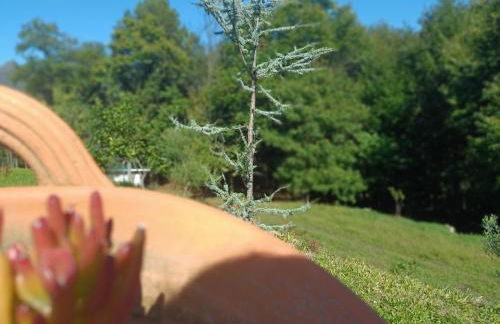 Quinta da Casa Matilde - NATURE HOUSE - Foto 66