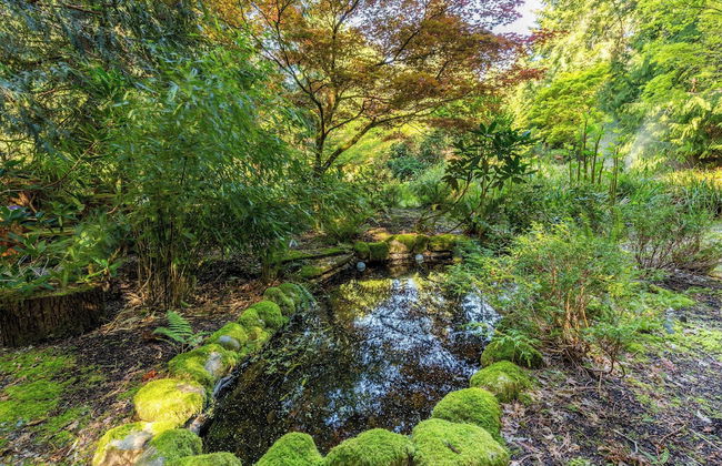 Rhythm Waters by Avantstay Garden Paradise, Pond - Foto 22