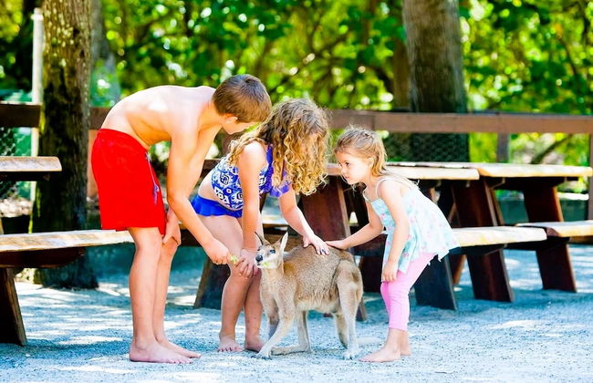 Coomera Houseboat Holidays - Foto 72