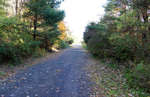 Bellwood Cottage 8-14min to all Roxbury Wed Venues - Foto 17