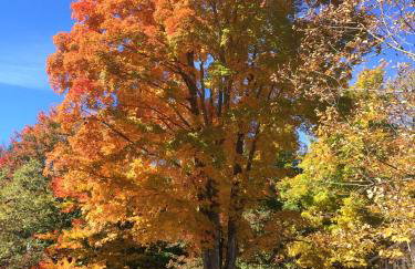 1894 Catskills Farmhouse Retreat - Foto 37