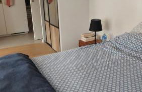 La Soldanelle vue lac et montagnes - Photo 12