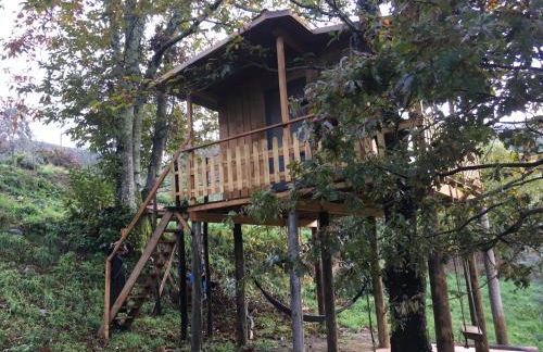 Palheiro do Vale do Paiva - Foto 38