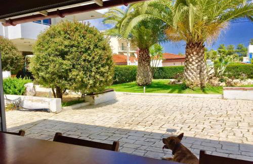 Modern apartment near Athens&Coast - Foto 67