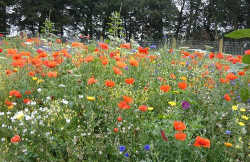 The Barn, Wolds Way Holiday Cottages, 2 bed ground floor - Foto 19