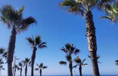 Casa Madrie - Photo 21