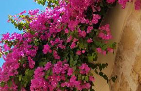 Panorama Apartments - Foto 53