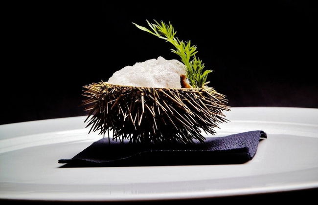 The Old Palace Tower / La Torre del Palación - Foto 34