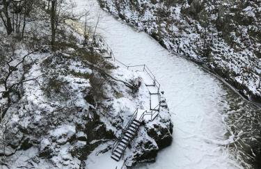 Craig Cottage - Photo 26