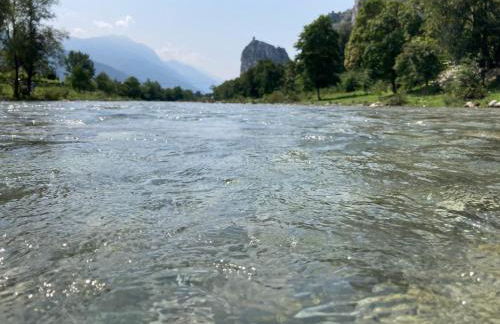 Green Life - Photo 41