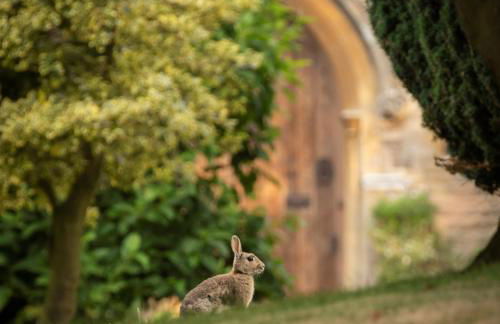 The Rectory Lacock Cottages - Foto 23