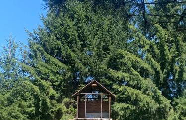 Noclegi Zielona Gęś - Foto 25