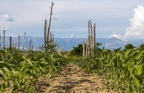 Villa Bandela - Foto 42